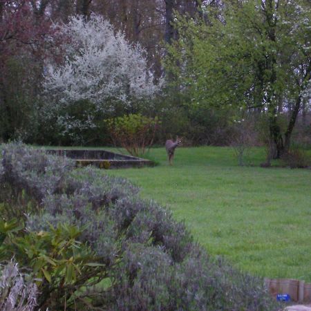 מלון Vitry-aux-Loges Les Sapins מראה חיצוני תמונה